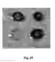 Fig. 24 - IN VITRO POINT-OF-CARE SENSOR AND METHOD OF USE