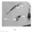 Fig. 09 - Apparatus and method for displacing air from wine containers