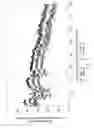 Fig. 02 - BATTERY BINDER