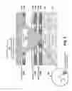 Fig. 06 - Three-dimensional oblique two-terminal memory with enhanced electric field