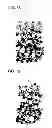 Fig. 08 - Semiconductor device and method for manufacturing the same
