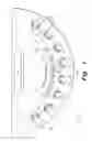 Fig. 02 - BLACKJACK VARIATION
