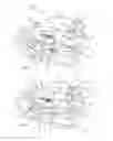 Fig. 02 - Latch assembly