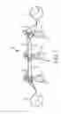 Fig. 02 - PHASE BALANCING OF POWER TRANSMISSION SYSTEM