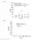Fig. 05 - Method to realize electronic field-effect transistor sensors