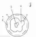 Fig. 04 - Method for generating a desired spatially variable temporal profile of the magnetization state in magnetic resonance