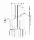 Fig. 06 - Power supply circuit