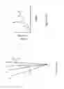 Fig. 16 - System and method for four dimensional angiography and fluoroscopy