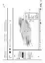 Fig. 04 - ANATOMICAL TAGGING OF FINDINGS IN IMAGE DATA OF SERIAL STUDIES