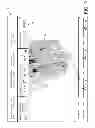 Fig. 05 - ANATOMICAL TAGGING OF FINDINGS IN IMAGE DATA OF SERIAL STUDIES