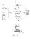 Fig. 11 - ANATOMICAL TAGGING OF FINDINGS IN IMAGE DATA OF SERIAL STUDIES
