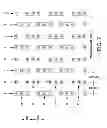 Fig. 08 - PIXEL INTERLEAVING CONFIGURATIONS FOR USE IN HIGH DEFINITION ELECTRONIC SIGN DISPLAYS
