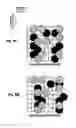 Fig. 07 - Printing device and printing method