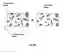 Fig. 08 - Data management in a linear-array-based microscope slide scanner