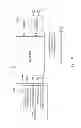 Fig. 02 - Method for generating split screen image and electronic device thereof