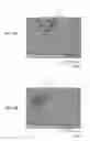 Fig. 06 - Imaging apparatus and image forming apparatus having continuous pores in three dimensions in porous body