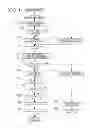 Fig. 02 - Imaging apparatus and imaging method with improved focus adjustment