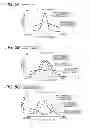 Fig. 06 - Imaging apparatus and imaging method with improved focus adjustment