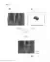 Fig. 04 - Image processing system for a vehicle