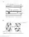 Fig. 04 - Liquid crystal panel