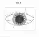 Fig. 06 - Ophthalmic device, and control method and program therefor