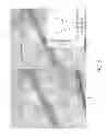 Fig. 09 - ASSESSMENT OF MICROVASCULAR CIRCULATION