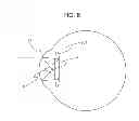 Fig. 07 - Ophthalmic device, control method, and non-transitory computer readable medium