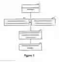 Fig. 03 - Method of generating a smooth image from point cloud data