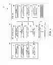 Fig. 06 - Print control device, printing system, and print control method