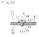Fig. 98 - LIGHT SOURCE DEVICE AND DISPLAY DEVICE