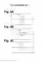 Fig. 04 - LIGHTING UNIT FOR VEHICLE LAMP