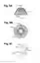 Fig. 06 - LIGHTING UNIT FOR VEHICLE LAMP