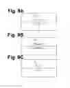 Fig. 10 - LIGHTING UNIT FOR VEHICLE LAMP