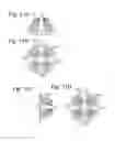 Fig. 12 - LIGHTING UNIT FOR VEHICLE LAMP