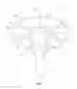 Fig. 04 - Annulus shaped luminaire
