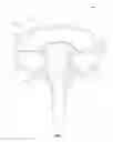 Fig. 05 - Annulus shaped luminaire