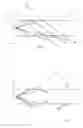 Fig. 08 - Annulus shaped luminaire