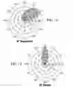 Fig. 09 - Lighting assembly