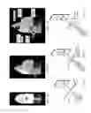 Fig. 02 - Light diffraction device