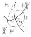 Fig. 02 - Acoustic propagation method
