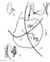 Fig. 04 - Acoustic propagation method