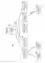 Fig. 13 - Wireless communication device