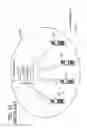 Fig. 20 - Radio communications system