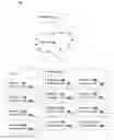 Fig. 01 - Optimizing device service availability and usage in a wireless personal network