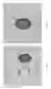 Fig. 09 - Aquatic-Based Automation Systems