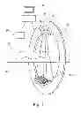 Fig. 02 - Balancing of a rotating anode