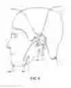 Fig. 03 - Wireless Headphones for Working Out