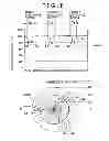 Fig. 07 - Speaker device with a magnetic gap filled with magnetic fluid and changing magnetic flux density in axial and circumferential directions