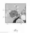 Fig. 08 - Real-time, interactive image analysis