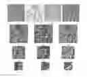 Fig. 01 - Integrated multivariate image-based method for disease outcome predicition
